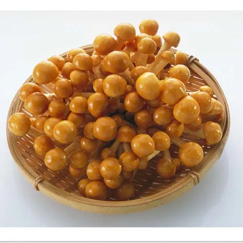 
Buyers for Detan Frozen Nameko Mushrooms 