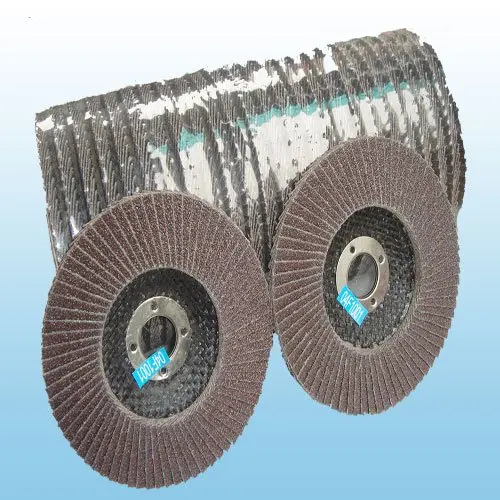 Откидной диск 100*16 мм