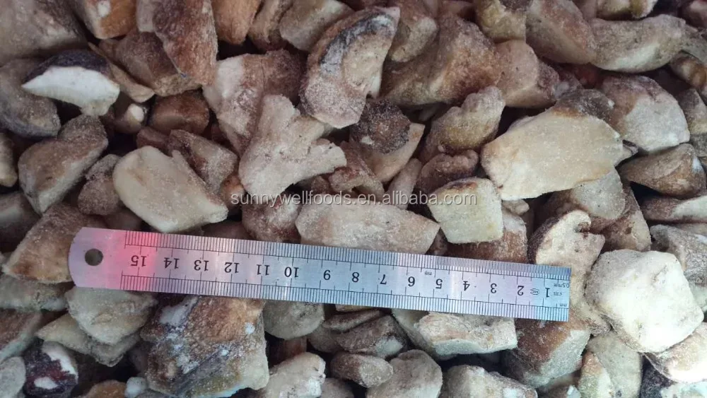 High Quality Frozen Wild boletus edulis cubes
