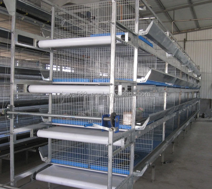 
Оптовая продажа, курятник для слоев, оцинкованная проволочная сетка, клетки для птицы для укладки кур 