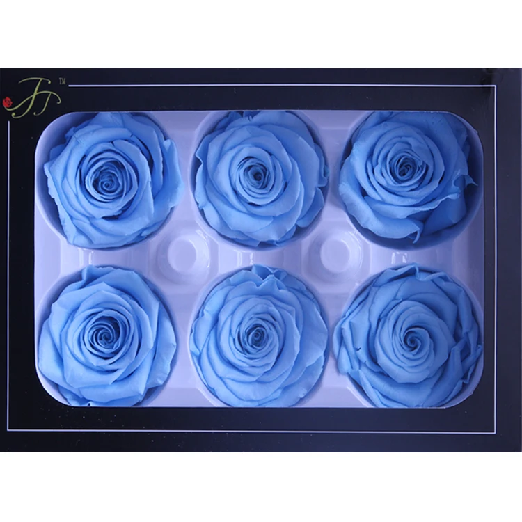 
5-6 cm Preserved flower Roses Head Eternal natural Rose Flower head for Wedding decoration 