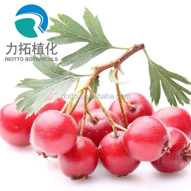 
Hot saling the Hawthorn berry extract /Hawthorn Extract /Hawthorn powder 