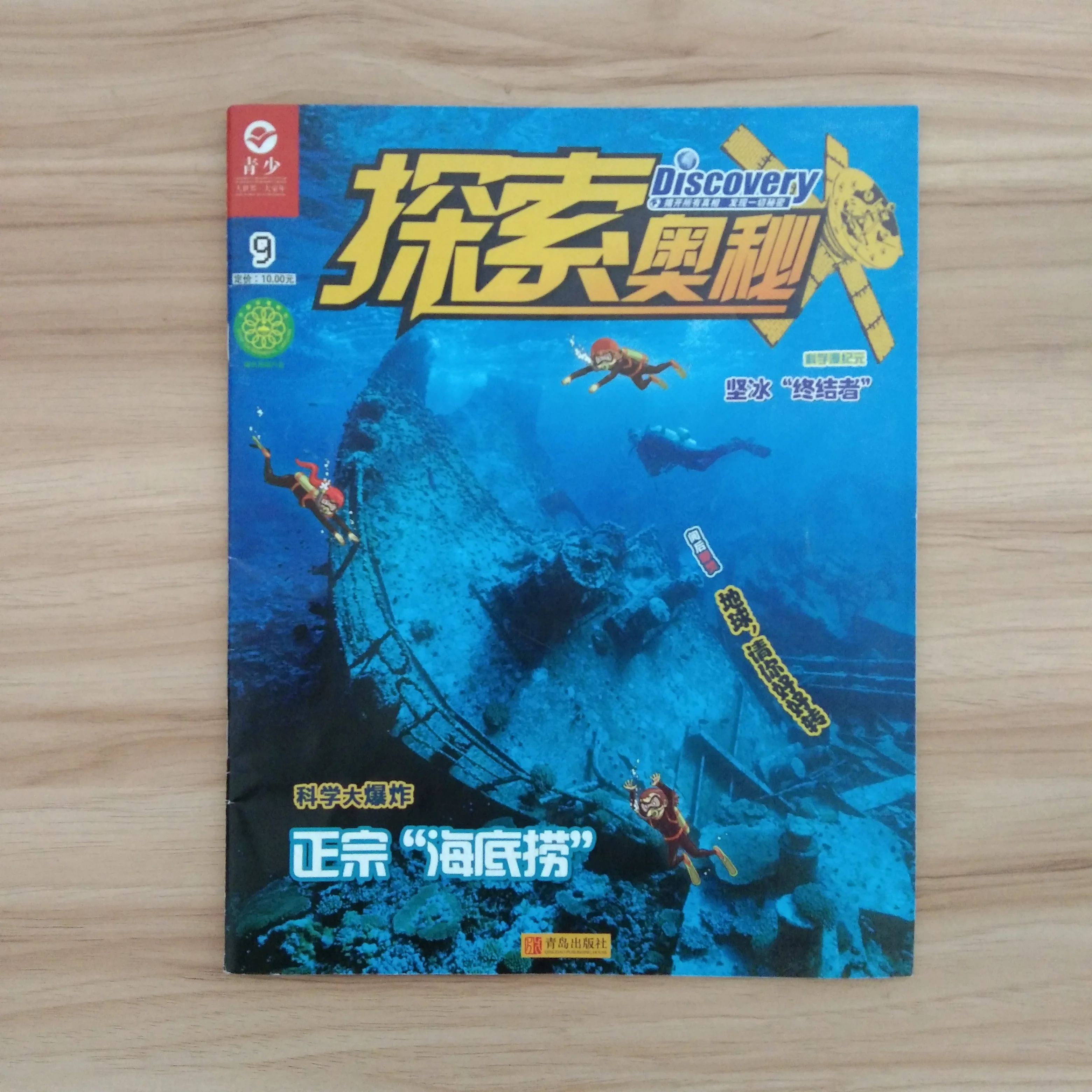 Пользовательская печатная брошюра/Брошюра/руководство