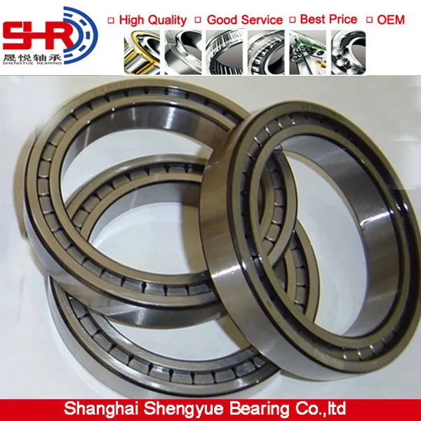 Уплотнения Двухрядный губ полный комплект цилиндрические роликоподшипники SL045008PP