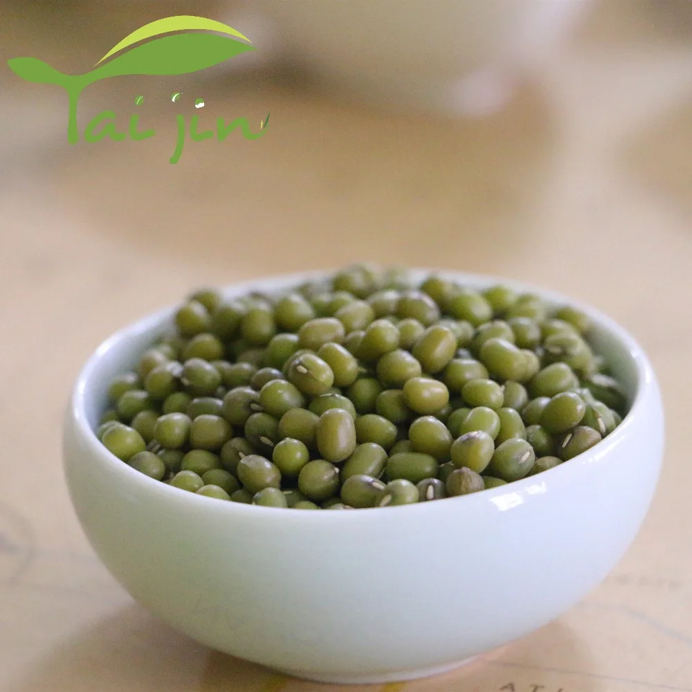 
High Quality Green Mung Bean Sprout Grade A Price Green Mung Bean 
