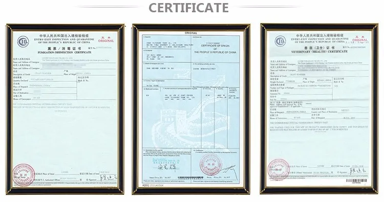 Certifications-2