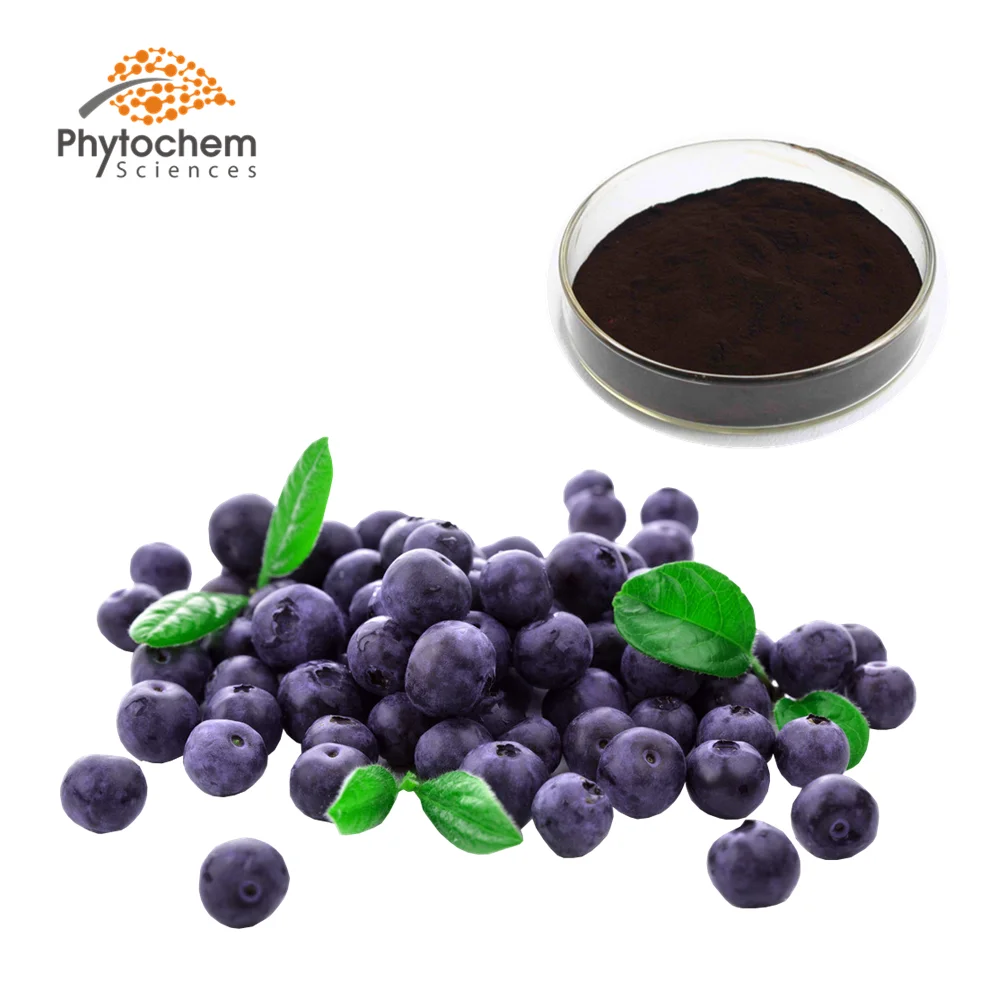 
bulk blue berry fruit Freeze-dried blueberry powder 