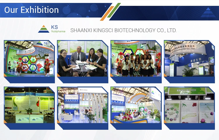 
Horny Goat Weed Powder Icariin 20% 40% 60% 80% 98% Epimedium Extract Powder 