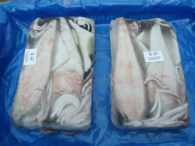 Замороженный кальмар lолиго оптовая продажа высокое качество с высоким минимальным заказом экспорт индийских морепродуктов