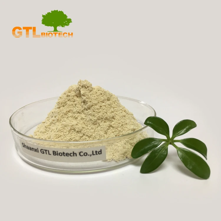 
Professional Bamboo Shoot Fiber Powder from GTL BIOTECH 