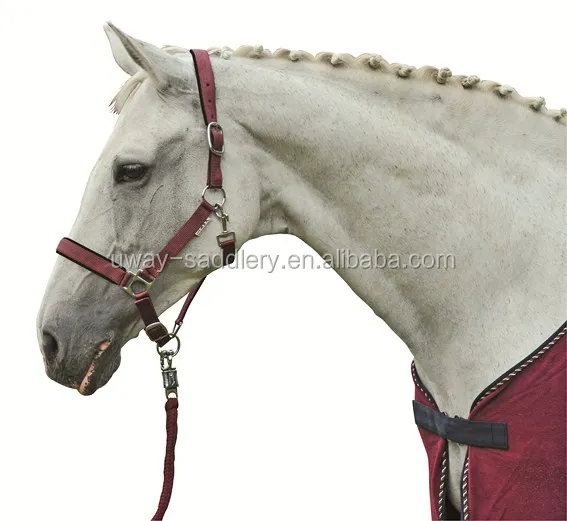 Newest nylon horse headcollar