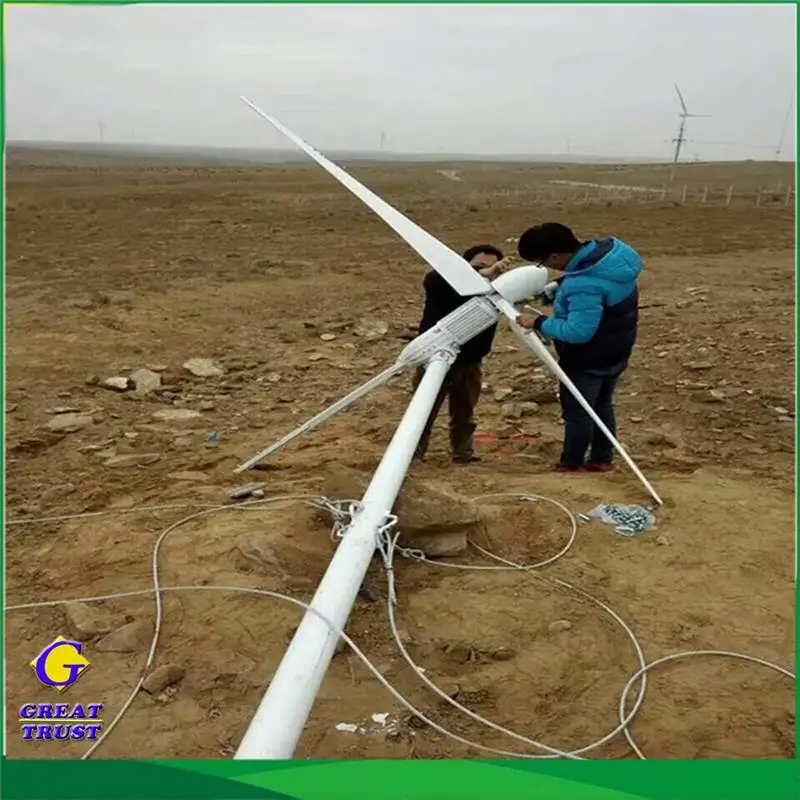 Brand New Wind Generator 3kw 20kw Horizontal Axis Turbine 30kva Wind Solar Hybrid Power System with High Quality