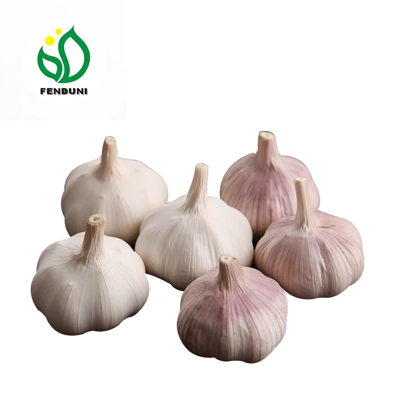 Китайский 2021 новый урожай, лучший свежий чеснок, цена