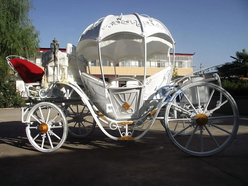 
Horse Carriage Customized design YZN Pumpkin Horse Drawn Carriage European Style 