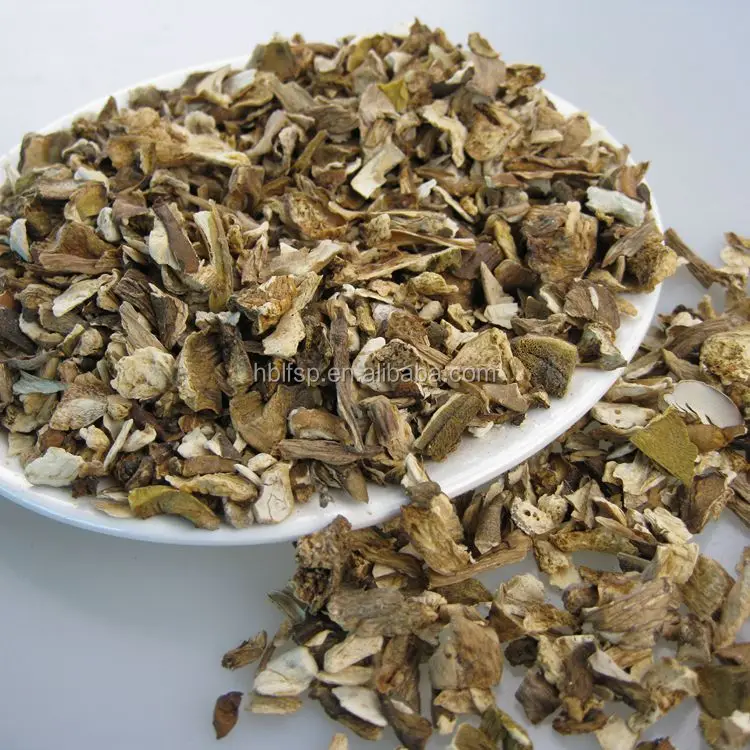 
Premium Wild Dried Porcini Mushroom Pieces Wholesale Price 
