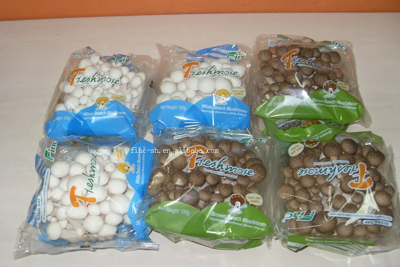 
Finc fresh shimeji white mushroom/ cultivated mushrooms 