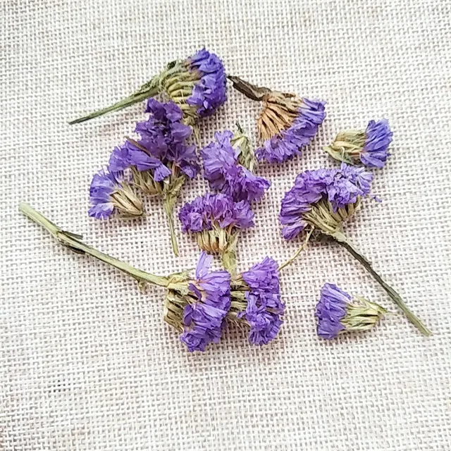 Wu wang wo 100% натуральный органический сушеный цветок не забудьте о мне