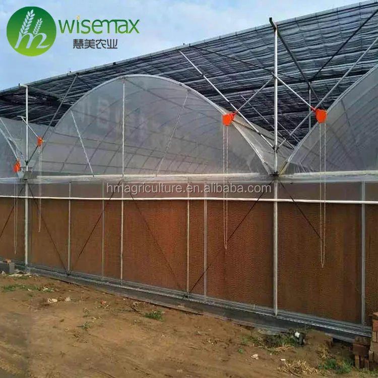 Multi Span polytunnel second hand greenhouse for sale