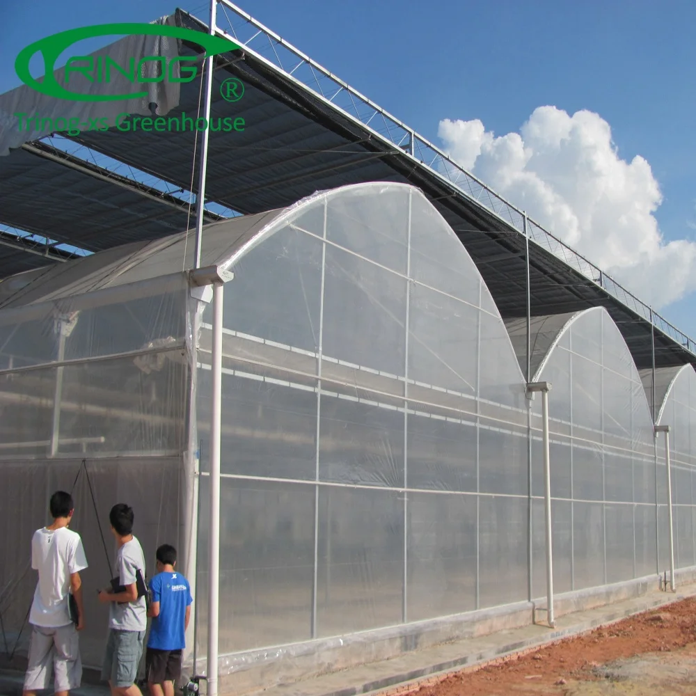 Trinog Greenhouse OEM commercial greenhouse farm ebb and flow bed hydroponic for herbs