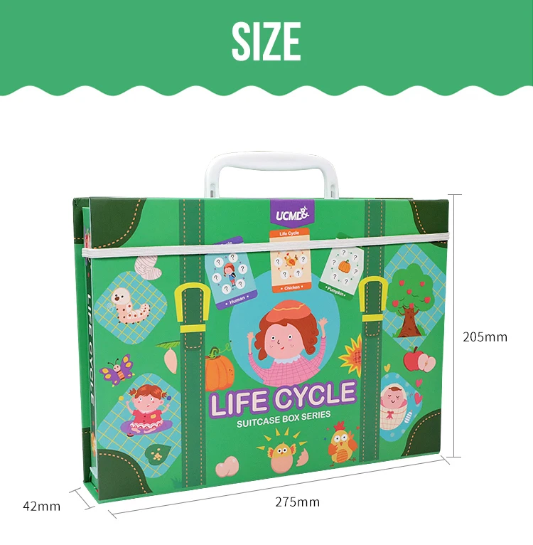2021 new life cycle education toys for children brain training puzzle magnetic puzzle