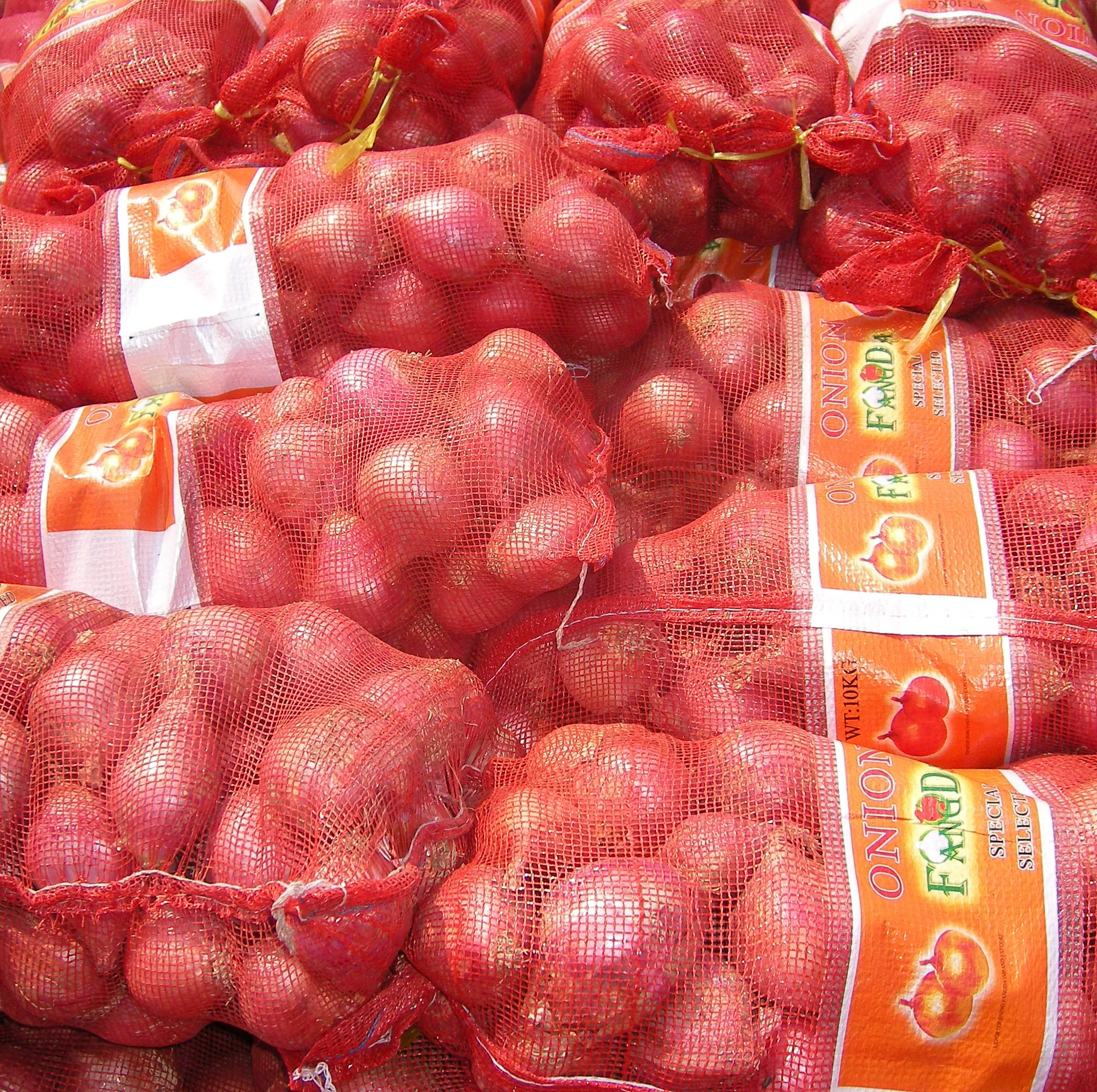 Yellow Gansu onion/5-7cm/6-9cm