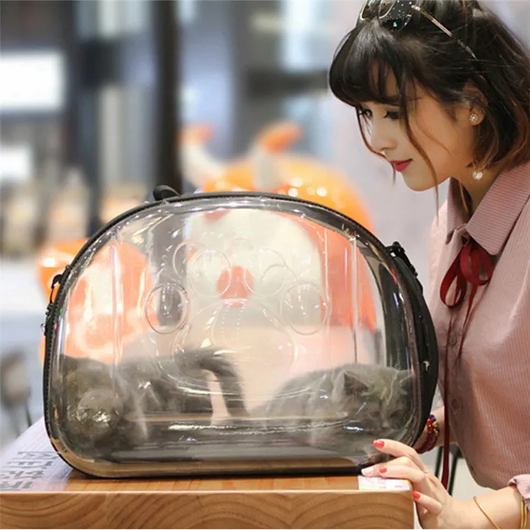 Transparent Pet Carrier Travel Bag for Small Dogs and Cats, Foldable Pet Travel Kennel Portable Pet Carry Handbag