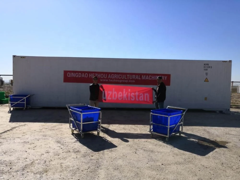 Горячая Распродажа, ферма с использованием 1000 кг/д, гидропоника, свежий фураж, культивационная машина для домашних животных, зеленая корма