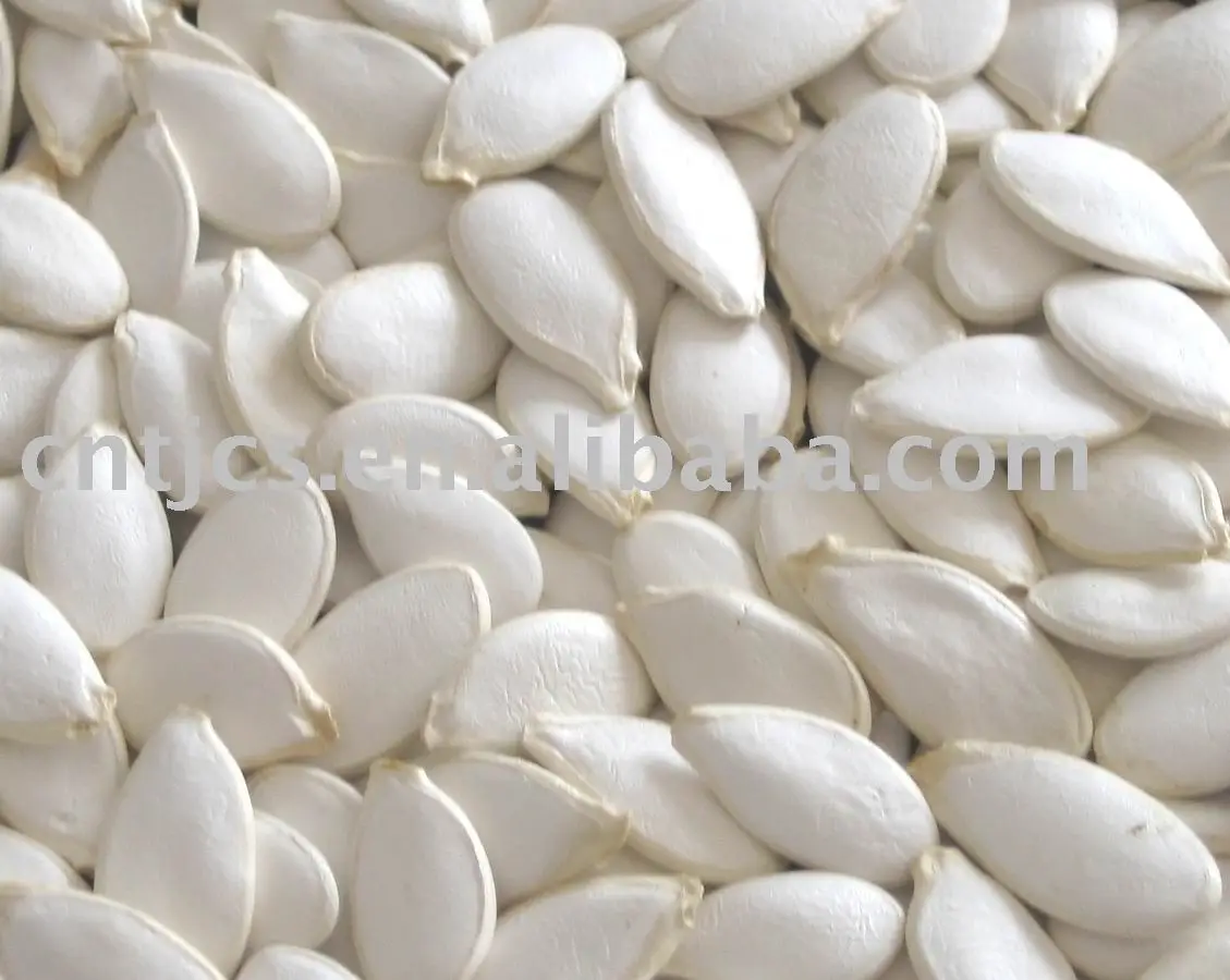
chinese snow white pumpkin seeds ( squash seeds) 