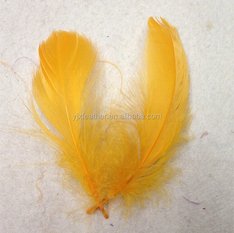 duck eiderdown duck feather natural goose feather free shipping for sale