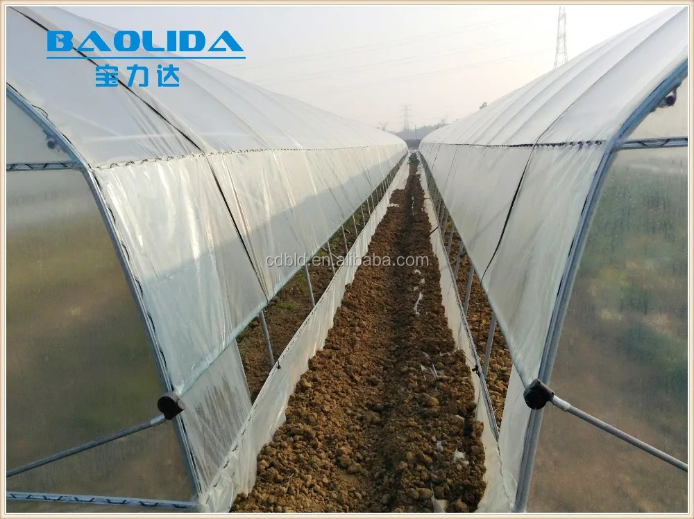 
cheap vegetables tunnel greenhouse baolida tunnel green house 