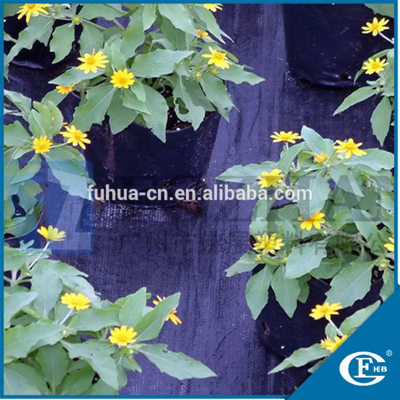 
wholesale black polyethylene anti insect film weed control mat 