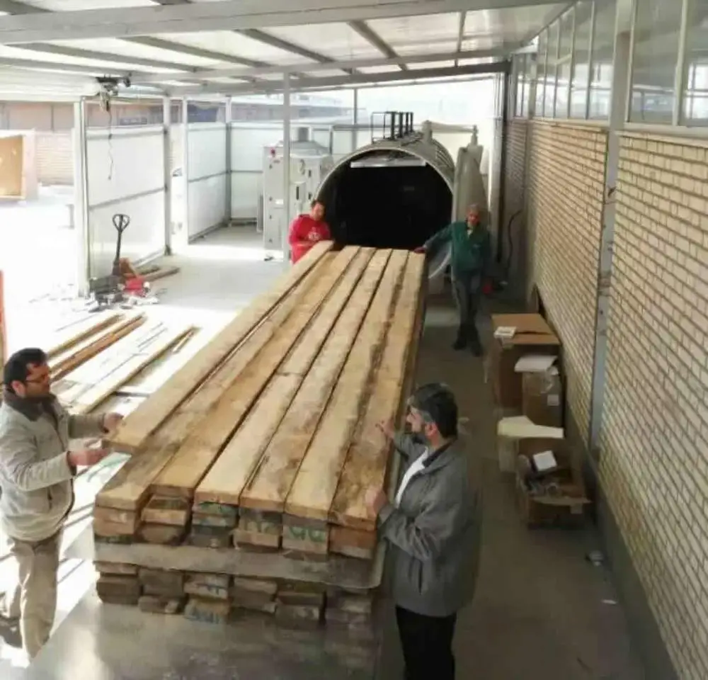 Wood Dryer HF Vacuum Kiln GGZ-3-DT