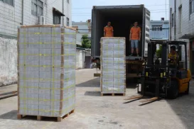 Absorb King 94% prills Calcium Chloride Desiccant Super Absorbent Polymer Powder