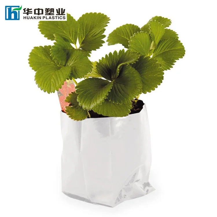 Panda film plastic heavy duty 3mil thickness LDPE white gardening tomatoes plant bags