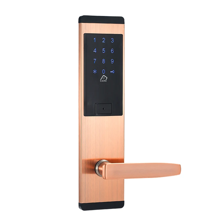 
Keypad Home Main Door RFID Lock, RF Card Lock Management System Software 