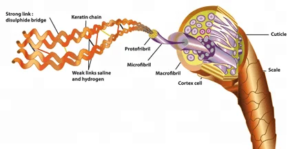Brazilian keratin treatment enzo keratin