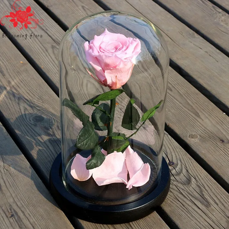 Cheap bulk christmas gifts long lasting real rose flowers forever preserved with stem