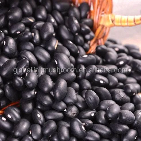 Black Beans Dried Kidney Beans Pulses