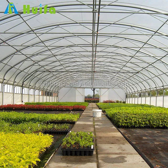 Plastic Covering Single Span Greenhouse