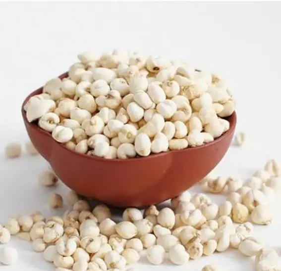 
Chuan bei mu Fritillaria cirrhosa D. Don dried bulb Fritillaria roylei Hooker raw herb 