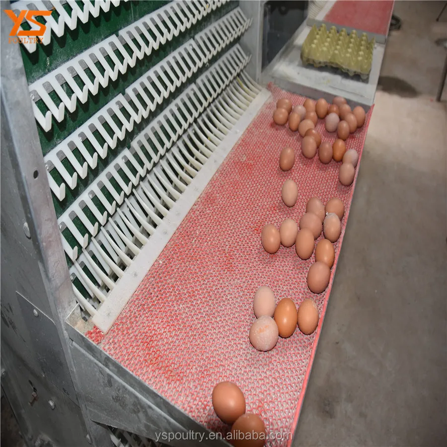 Low Price Fully Automatic Egg Collector for Poultry Cage