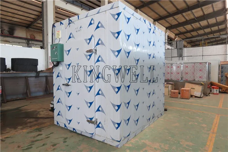 Banana ripening room with Pu Panels, Refrigeration Cold Storage Room