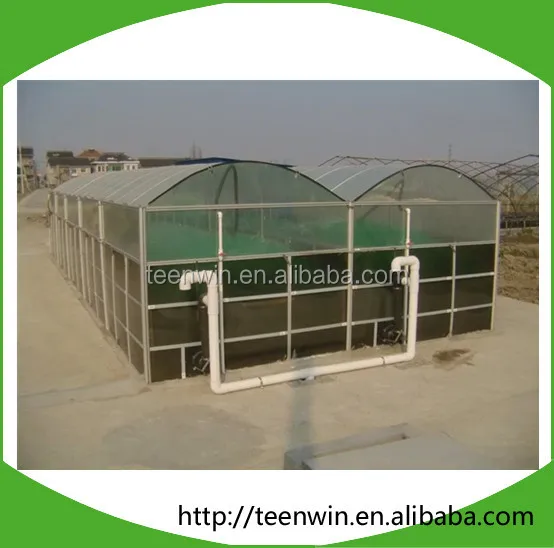 Pig farm manure biogas plant