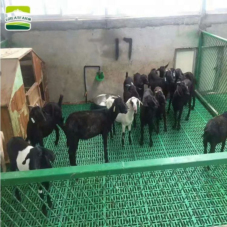 
 Утечка навоза для свиной фермы, чугунный напольный настил для продажи  