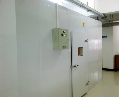 
Energy Sawing Big capacity Cold Room For meat and fish ,Blast Freezer Room 