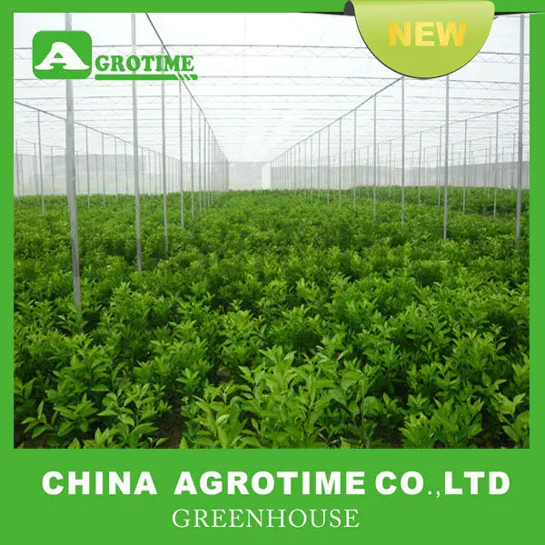 насекомых покрытие сети нескольких- парниковый период