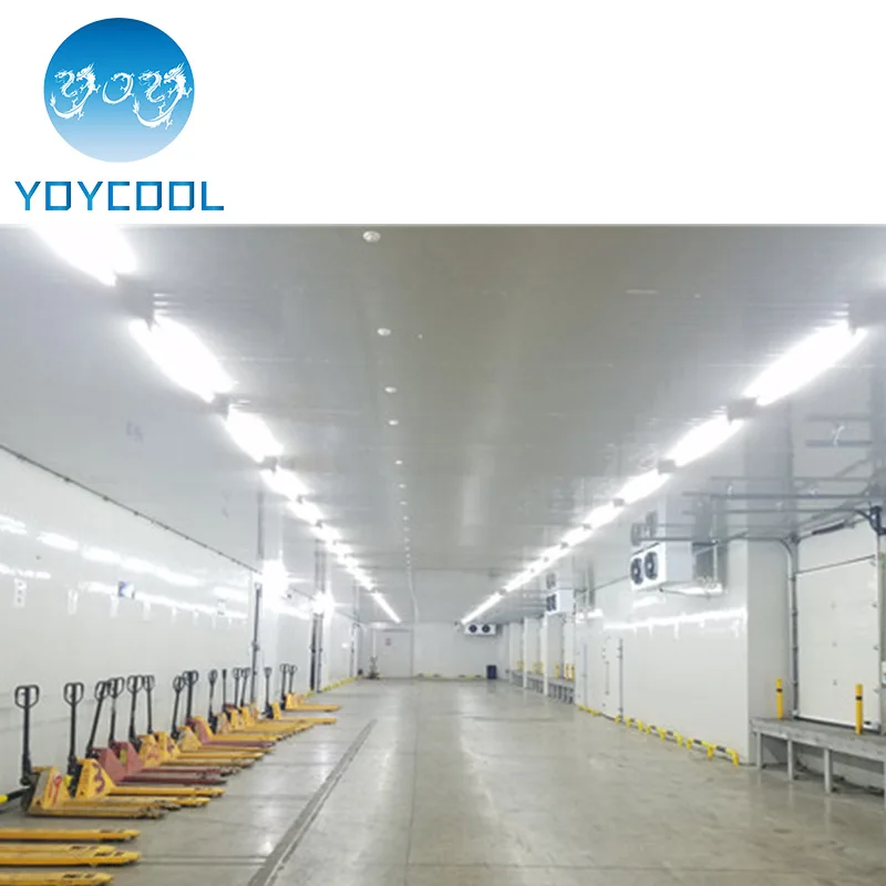 5000 т томатный холодная комната для хранения/холодного хранения картофеля лук