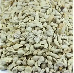 Профессиональный Производитель вина, оборудование для обработки виноградных косточек Remover