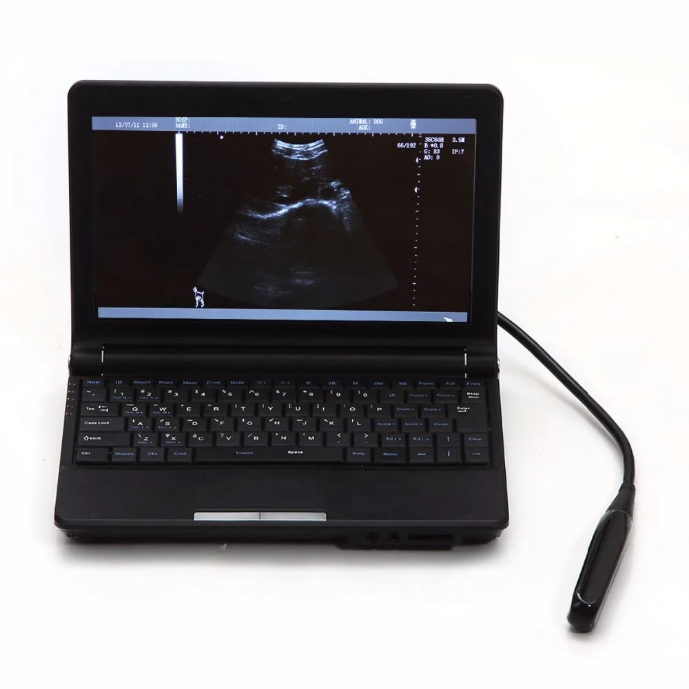 CE ISO Good quality LCD laptop Ultrasound machine/animal/veterinary Ultrasound Scanner/ ultrasound price for cow horse