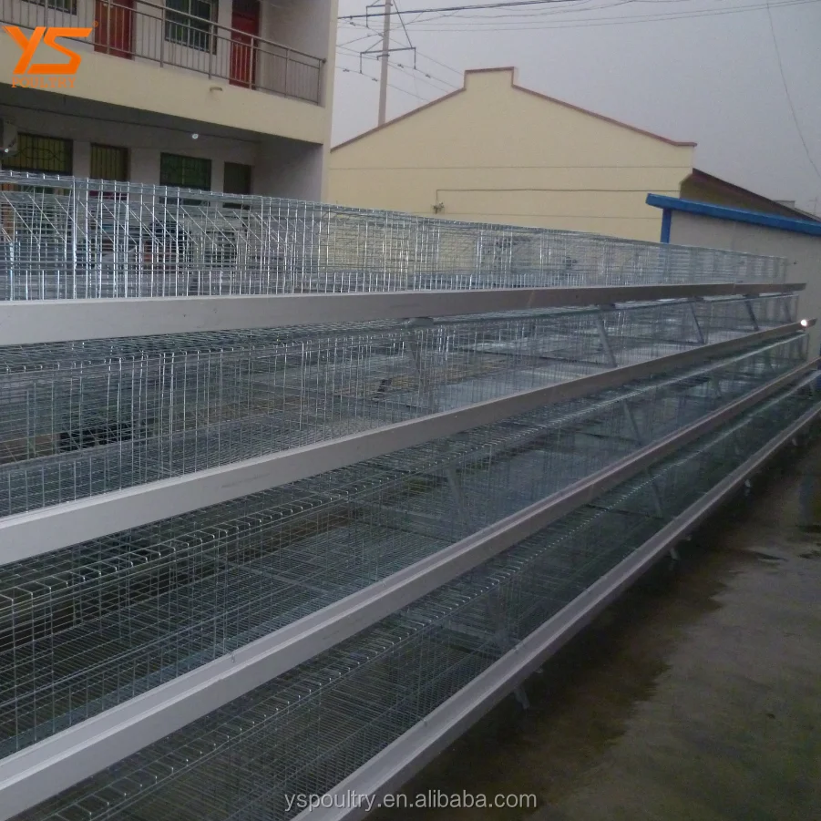 
Design Complete Poultry Chicken Farm Cage for Broiler and Breeder 
